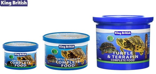 King british turtle terrapin - king, &