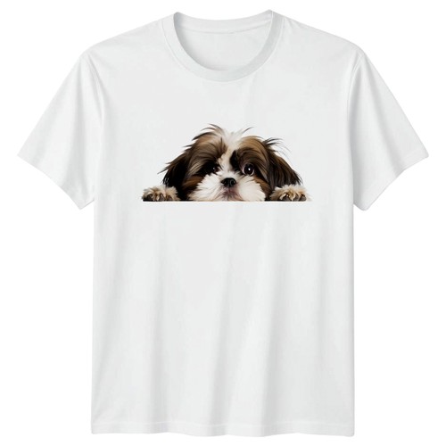 Peeking shih tzu dog - shih,