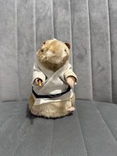 Vintage Gemmy “Kung Fu