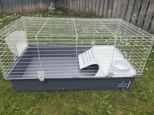 Guinea pig cage - guinea,