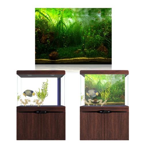 Fish tank backdrop - fish, aquarium