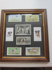 WIRE FOX TERRIER Dog Vintage Player/Wills Cigarette Cards Framed
