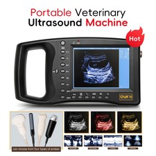 Portable Veterinary Ultrasound