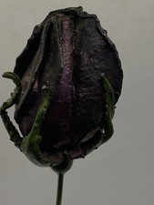 FABULOUS ANTIQUE HAT PIN