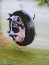 "This Party is in Full Swing!"