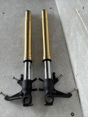 Suzuki gsx r600 k5 - suzuki, gsx-r600