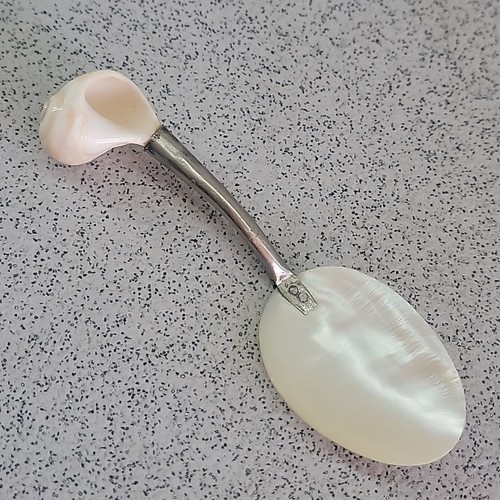 Vintage mother pearl shell - mother,
