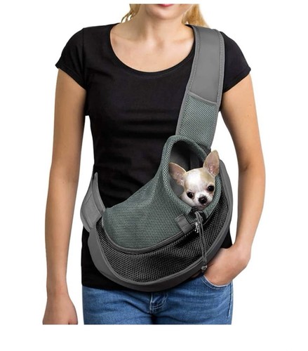 Black small dog puppy - black,