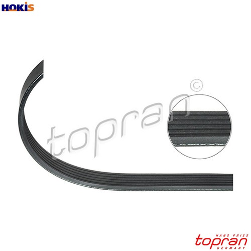 Vribbed belt 301 - belt,