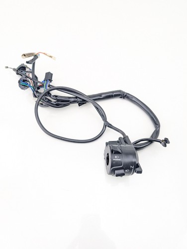 Honda cb600 hornet switch - cb600,