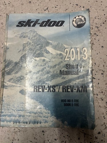 2013 ski doo rev - rev,