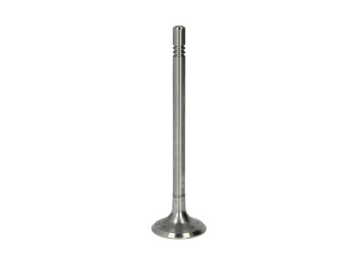 Intake valve 6690 fits a3 - intake,