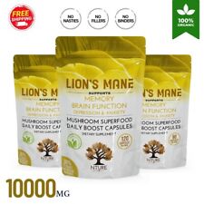 LIONS MANE MUSHROOM EXTRACT