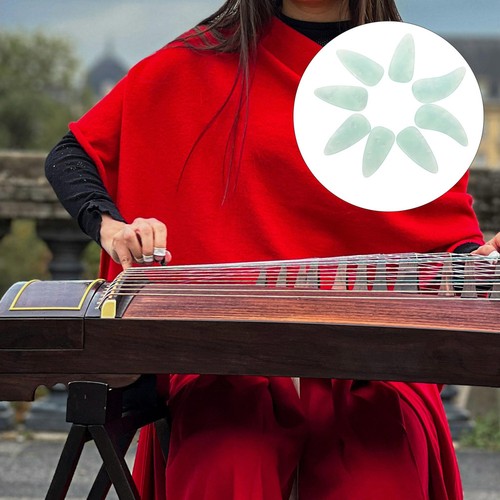 Zither musical instrument - zither,