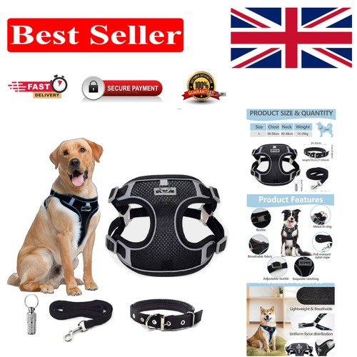 Reflective pull dog - pull,