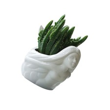  Cute Flower Pot Unusual Plant