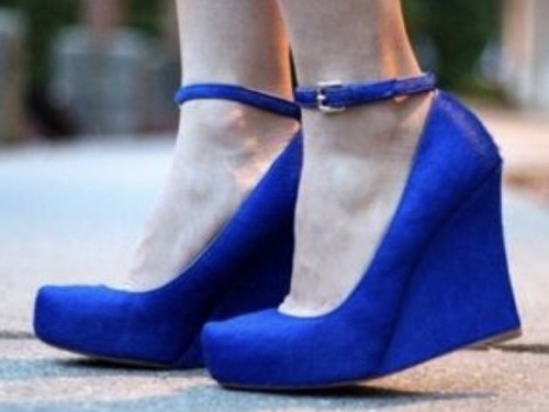 Ann taylor women cobalt - taylor, women’s
