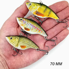 Pike Fishing Lure Vibration