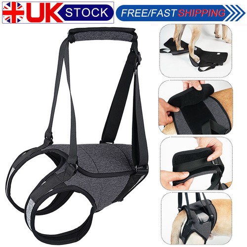 Dog lift sling rear - dog,