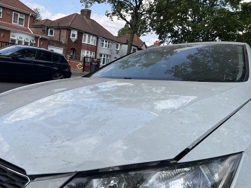 2014 seat leon - leon,