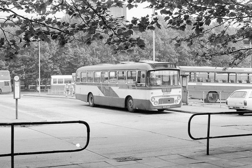 Bus negative western - ex-western, smt