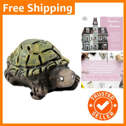 Large turtle tortoise - large,