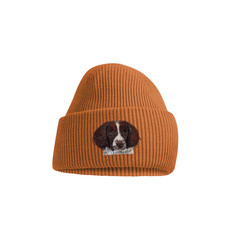 LIVER & WHITE SPRINGER SPANIEL