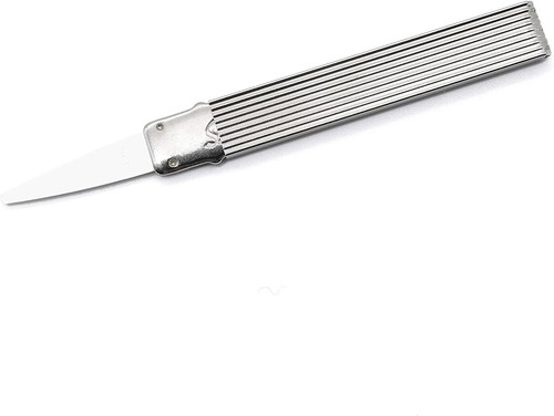 Sanident toothpick with - sanident,