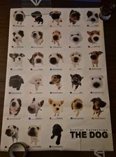 The Dog – The Dog Artlist