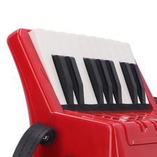 Piano Accordion Entry Level 17