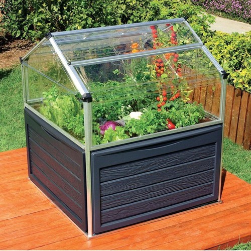 Garden mini greenhouse palram - mini,
