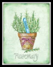 ROSEMARY HERB GARDEN KITCHEN