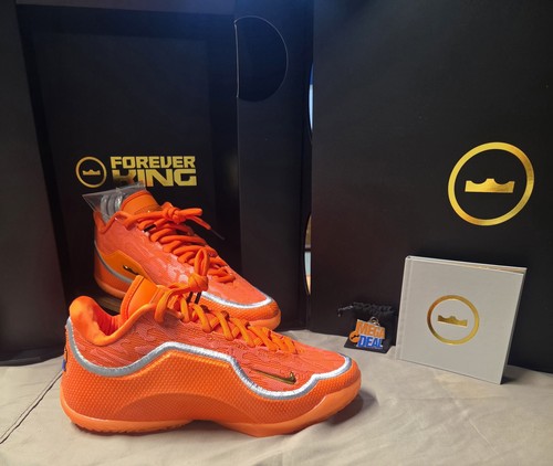 Nike lebron xxiii shoe - “shoe, bag