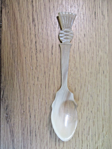Vintage scottish thistle - scottish,