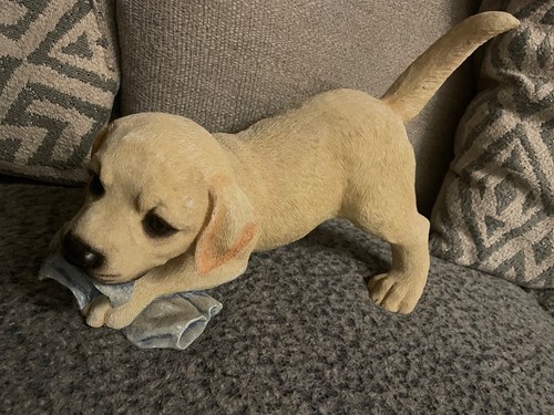 Leonardo golden labrador dog - leonardo,