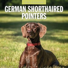 German Shorthaired Pointers 2026 Square Wall Calendar