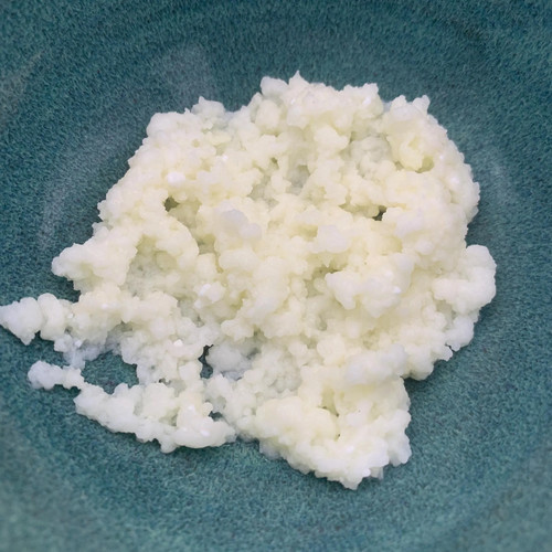 Milk kefir grains - kefir,