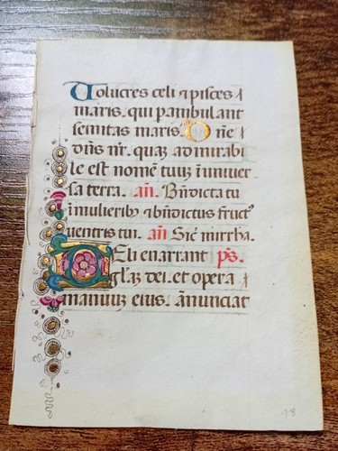 VELLUM LEAF BOOKS OF HOURS