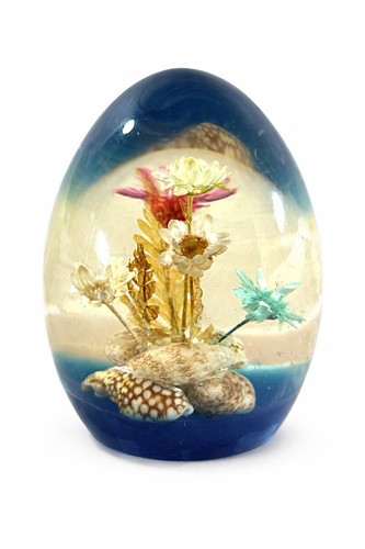 Vintage acrylic seashell - acrylic,
