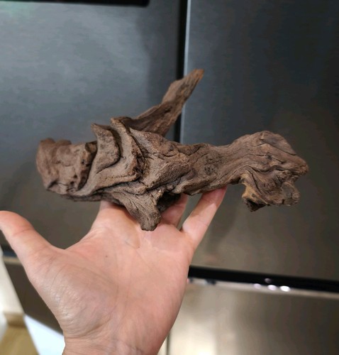 Aquarium natural driftwood - aquarium,