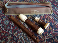 Alto (Baroque) recorder AARB-201AW with case