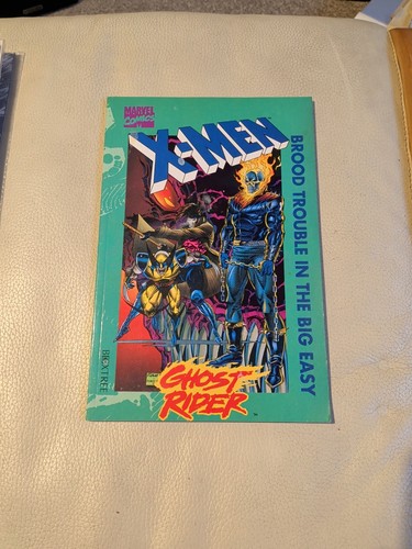 Men ghost rider brood - rider,