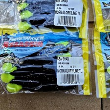 4 Packs Of Saltwater Assassin