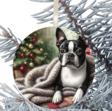 Boston Terrier Dog Hanging