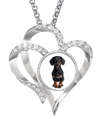 Dachshund black dog - dachshund,