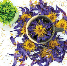 Egyptian Blue Lotus - Whole