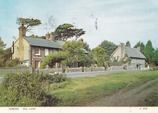 Postcard ferring sea lane - -,