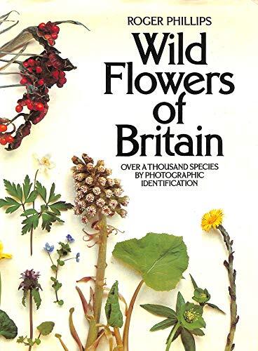 Wild flowers britain roger - flowers, britain-roger