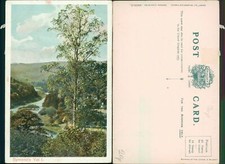 Symonds Yat I 1868 Peacock