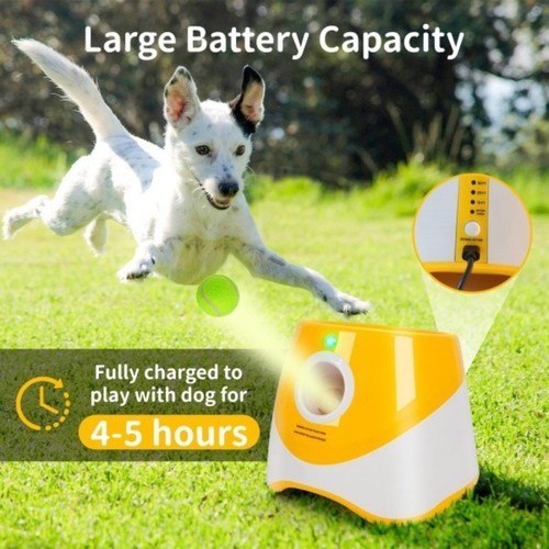 Dog ball throwing machine dogs - throwing,
